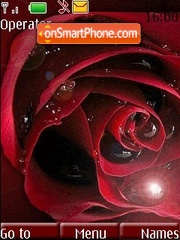 Red Rose Theme-Screenshot
