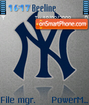 New York 04 tema screenshot