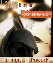 Black Rose 04 tema screenshot
