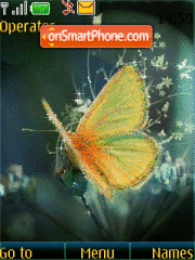 Butterfly animated es el tema de pantalla