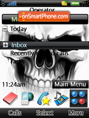 Скриншот темы Skull