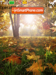 Capture d'écran Maple leaves thème