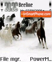 Horse 03 es el tema de pantalla