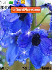 Blue Flowers es el tema de pantalla