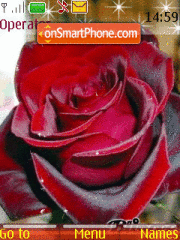 Скриншот темы Red Rose