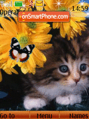 Скриншот темы Cat and Flowers