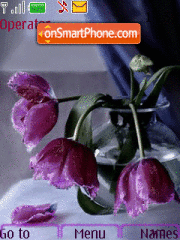 Lilak tulips tema screenshot