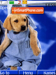 Puppies in jeans theme screenshot