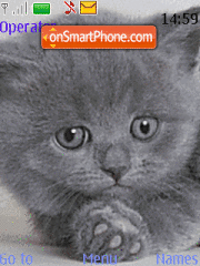 Cats Theme-Screenshot