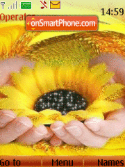 Скриншот темы Sunflower