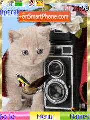 Cats tema screenshot