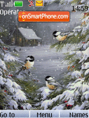 Snow...birds... theme screenshot