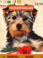 Dog with Rose theme screenshot