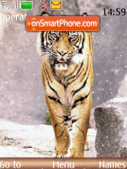 Tiger Theme-Screenshot
