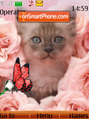 Kitten and Butterfly tema screenshot