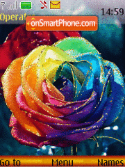 Скриншот темы Colorfull Rose