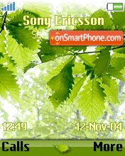 Capture d'écran Leaf Animated thème