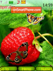 Berry and Butterfly tema screenshot
