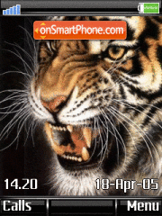 Скриншот темы Animated Wild Tiger