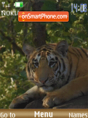 Tigers, flash animation theme screenshot