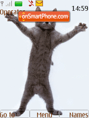 Capture d'écran Dancing Cat thème