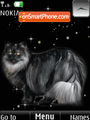 Capture d'écran Star cat, animation thème