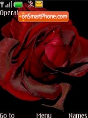 Capture d'écran Roses thème