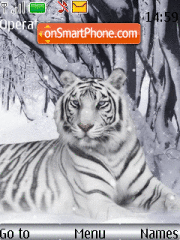 Capture d'écran Tiger4 thème