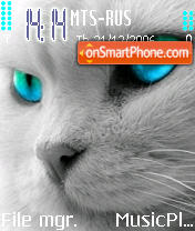 Скриншот темы Cat 02