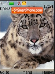 Snow Leopard es el tema de pantalla