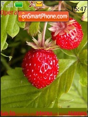 Скриншот темы Strawberry