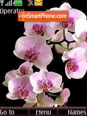 Orchid theme screenshot
