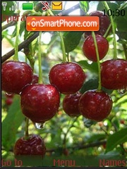 Cherries theme screenshot