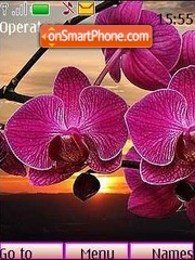 Capture d'écran Orchids06 thème