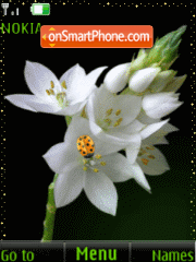 White flowers, animation theme screenshot