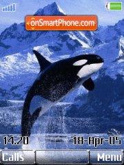 Killer whale theme screenshot