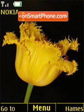 Скриншот темы Yellow tulips