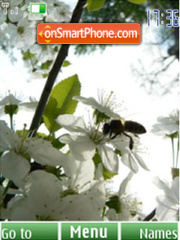 Скриншот темы Spring flowers, 12 pictures
