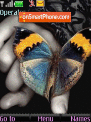 Butterfly es el tema de pantalla