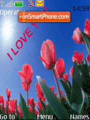 Flores love you Theme-Screenshot