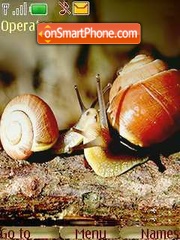 Snail tema screenshot