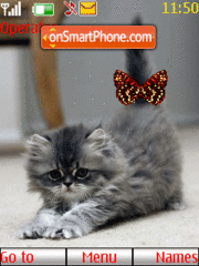 Cute Grey Cat es el tema de pantalla
