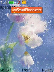 Flowers theme screenshot