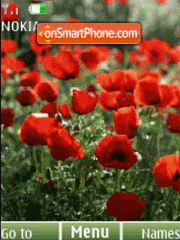 Poppy,flash slide Theme-Screenshot