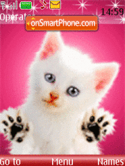 Little Cats theme screenshot