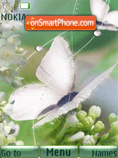 White butterfly theme screenshot