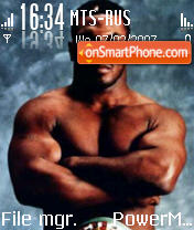Tyson tema screenshot