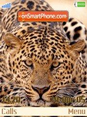 Leopard 01 Theme-Screenshot