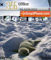 Seal 01 theme screenshot