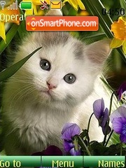 Kittens and flowers tema screenshot
